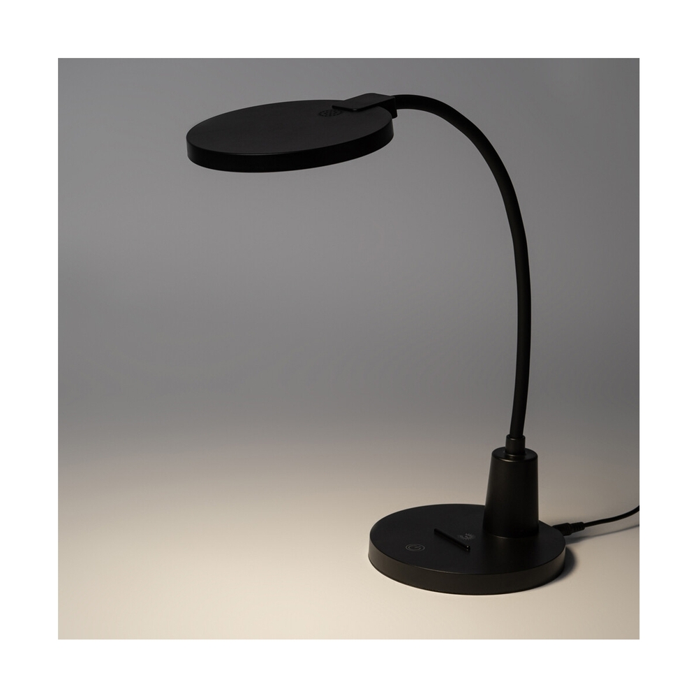 Светильник ЭРА NLED-501-10W-BK черный - фото 10