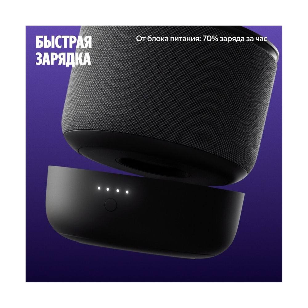 Портативный аккумулятор для Станции Мини 3 Про, модель YNDX-00650 Черный - фото 5