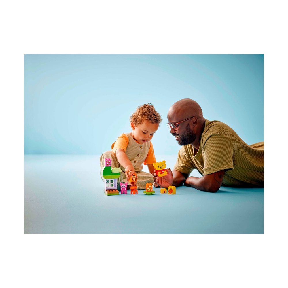 Конструктор Lego 10457 Дупло День рождения Винни Пуха - фото 10