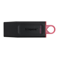 USB накопитель Kingston DataTraveler Exodia 256 Гб, Black (DTX/256GB) - фото