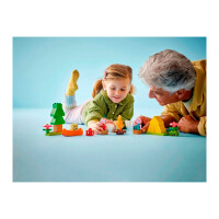 Конструктор Lego 10452 Дупло Поездка на природу Свинки Пеппы - фото