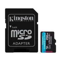 Карта памяти Kingston Canvas Go! Plus, Class 10 UHS-I (SDCG3/256GB) - фото