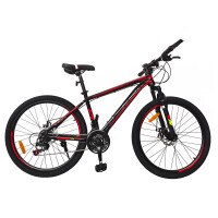 Велосипед Weber MB2621T - фото