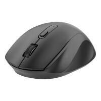 Мышь 2Е MF240 WL Black - фото