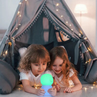 Светильник Tekled Dog - фото