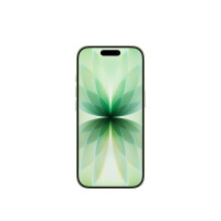 Смартфон iPhone 17 512GB Sage MG6V4HX/A - фото