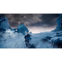 Игра для PS5 Wild Hearts - фото