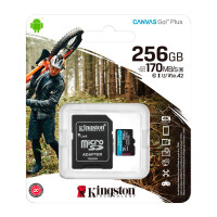 Карта памяти Kingston Canvas Go! Plus, Class 10 UHS-I (SDCG3/256GB) - фото