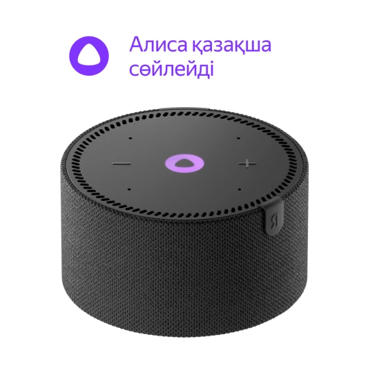 Яндекс Станция Мини без часов Черная (YNDX-00021)
