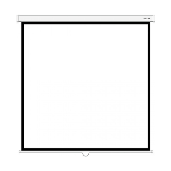 Экран проекционный Deluxe DLS-M213x 213x213 Matt White - фото