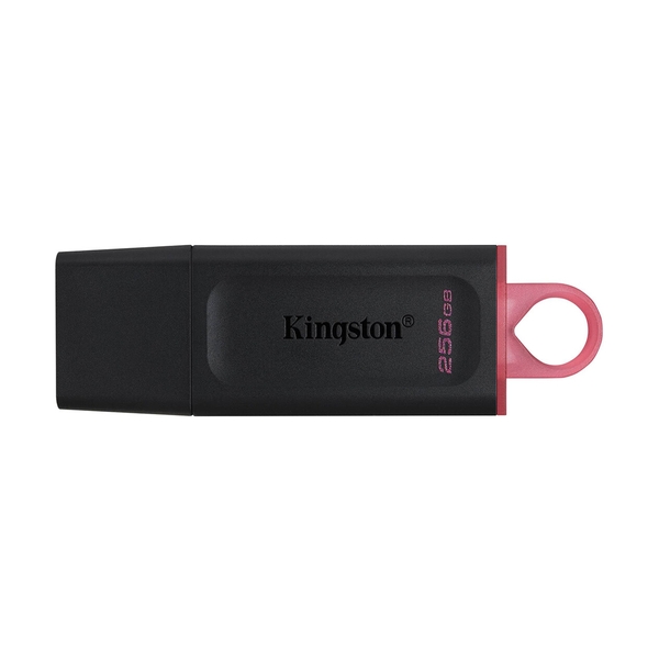 USB накопитель Kingston DataTraveler Exodia (DTX/256GB) - фото