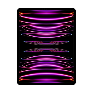 Планшет Apple iPad Pro 256GB 12.9" 6th Gen M2 WiFi (2022) Space Grey (MNXR3RK/A) - фото 8