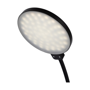 Светильник ЭРА NLED-501-10W-BK черный - фото 6