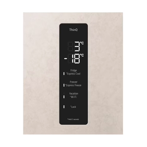 Холодильник LG GC-B459FEPW - фото 7