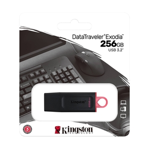 USB накопитель Kingston DataTraveler Exodia (DTX/256GB) - фото 2