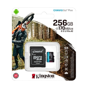 Карта памяти Kingston Canvas Go! Plus, Class 10 UHS-I (SDCG3/256GB) - фото 2