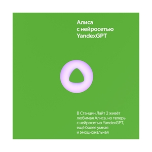 Яндекс Станция Лайт 2 Зеленый (YNDX-00026GRN) - фото 5