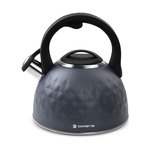 Чайник со свистком Polaris Kontur-3L