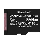 Карта памяти Kingston Canvas Go! Plus (SDCS2/256GBSP)