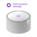 Яндекс Станция Мини без часов Серая (YNDX-00021)