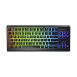 Игровая клавиатура Steelseries Apex 3 TKL RU (64817)